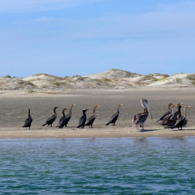 Visitas guiadas islas